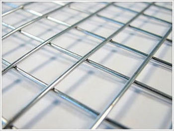 草莓视频官网视频